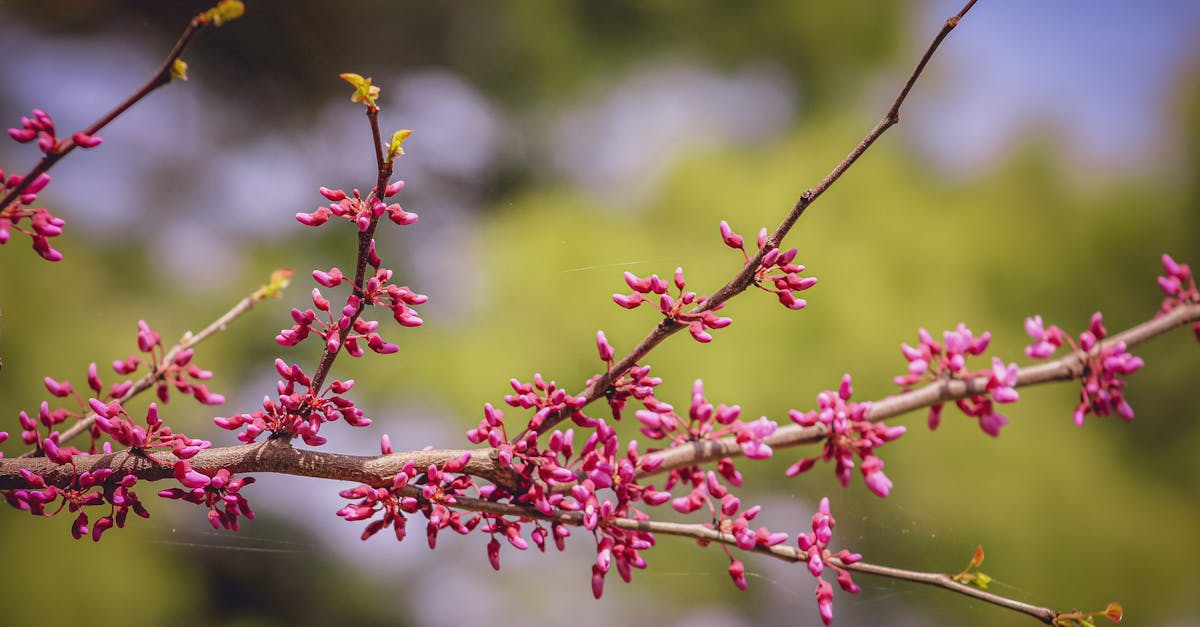 découvrez l'éveil artistique à travers une exploration captivante des inspirations créatives, des techniques innovantes et des perspectives uniques qui nourrissent l'imagination et enrichissent votre expression personnelle.