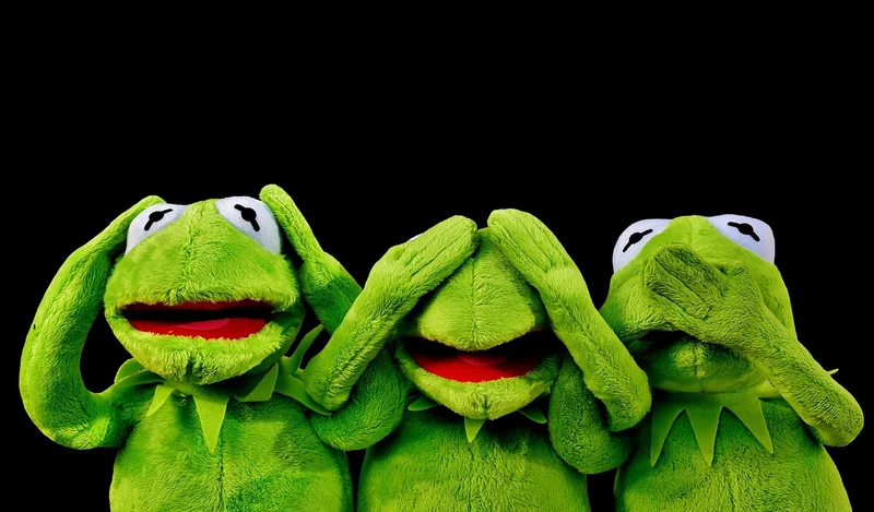 Les tendances 2026 pour les noms de peluche