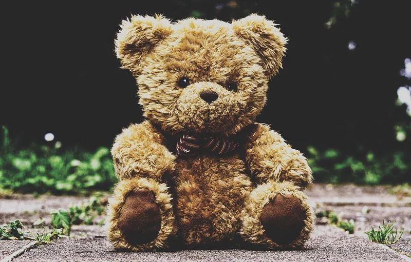 Les meilleures catégories de prénoms pour peluche
